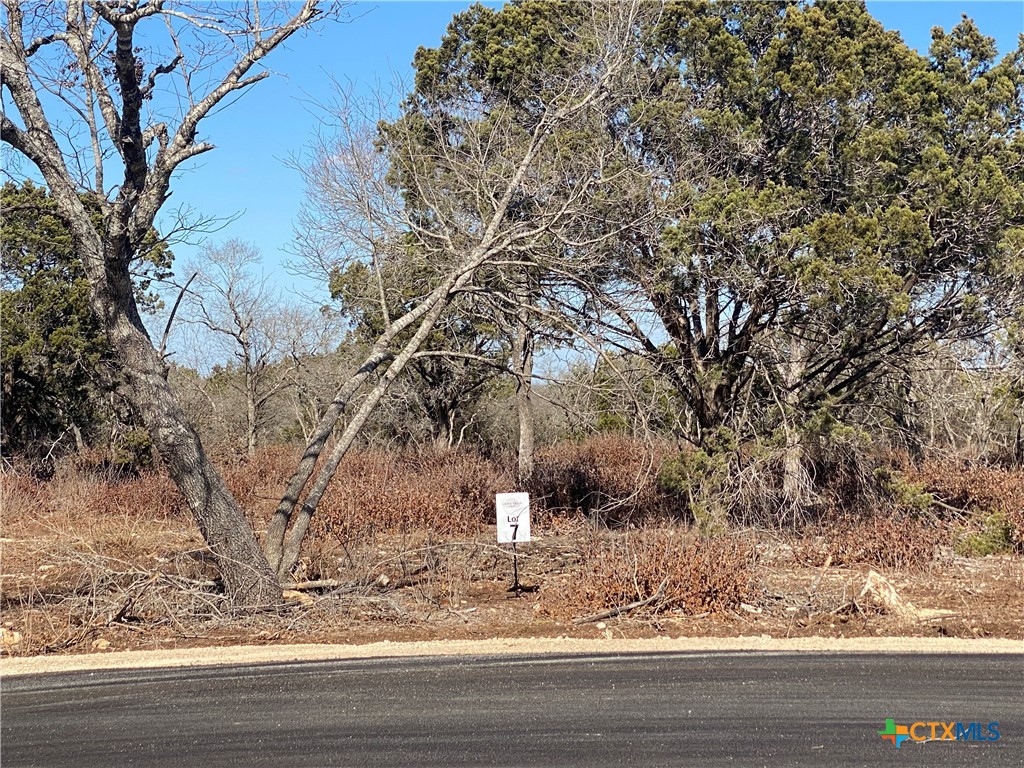 Lot 7 Sawtooth Drive, Bertram, TX 78605 — photo 1