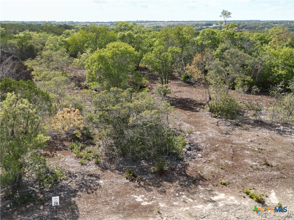 Lot 28 Sawtooth Drive, Bertram, TX 78605 — photo 1