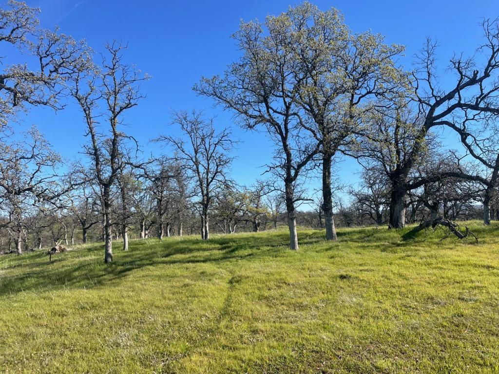 108 Lot 8 of Tract No.91-1002 Lane, Red Bluff, CA 96080 — photo 1