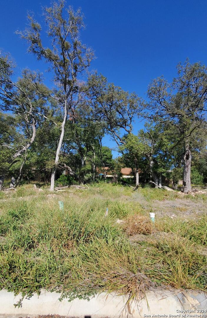 LOT 19 Swans Landing, San Antonio, TX 78217 — photo 1