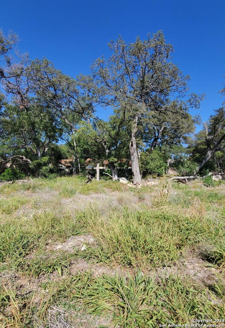 LOT 16 Swans Landing, San Antonio, TX 78217 — photo 1