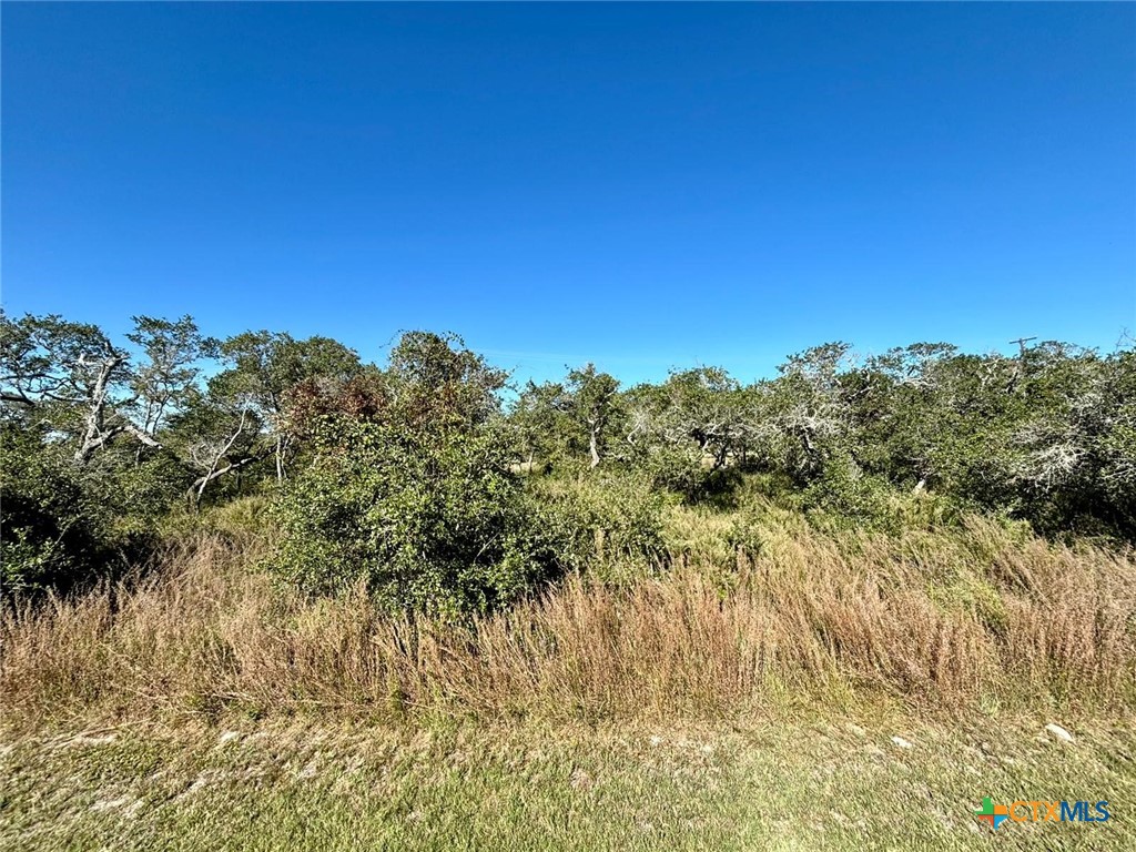 185 WALTER HELDENFELS CIR, Rockport, TX 78382 — photo 1