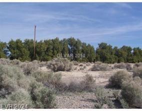 1661 East Antelope Street, Pahrump, NV 89048 — photo 1