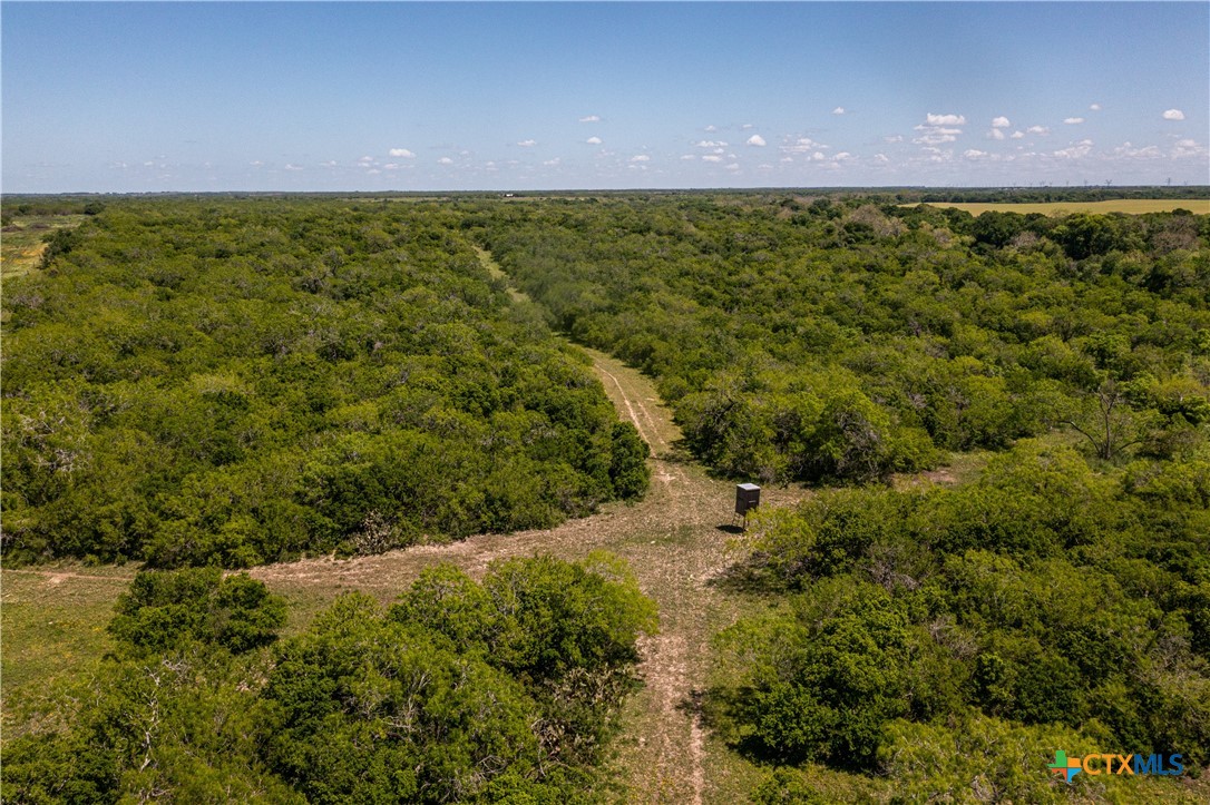1110 county road 103, Runge, TX 78151 — photo 1