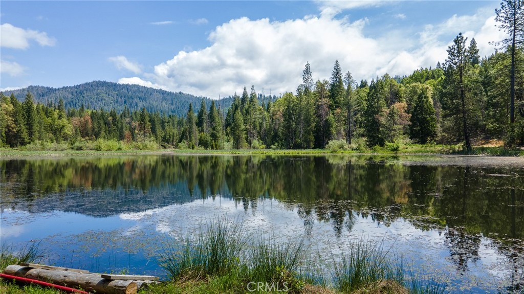5657 Worman Road, Ahwahnee, CA 93601 — photo 1