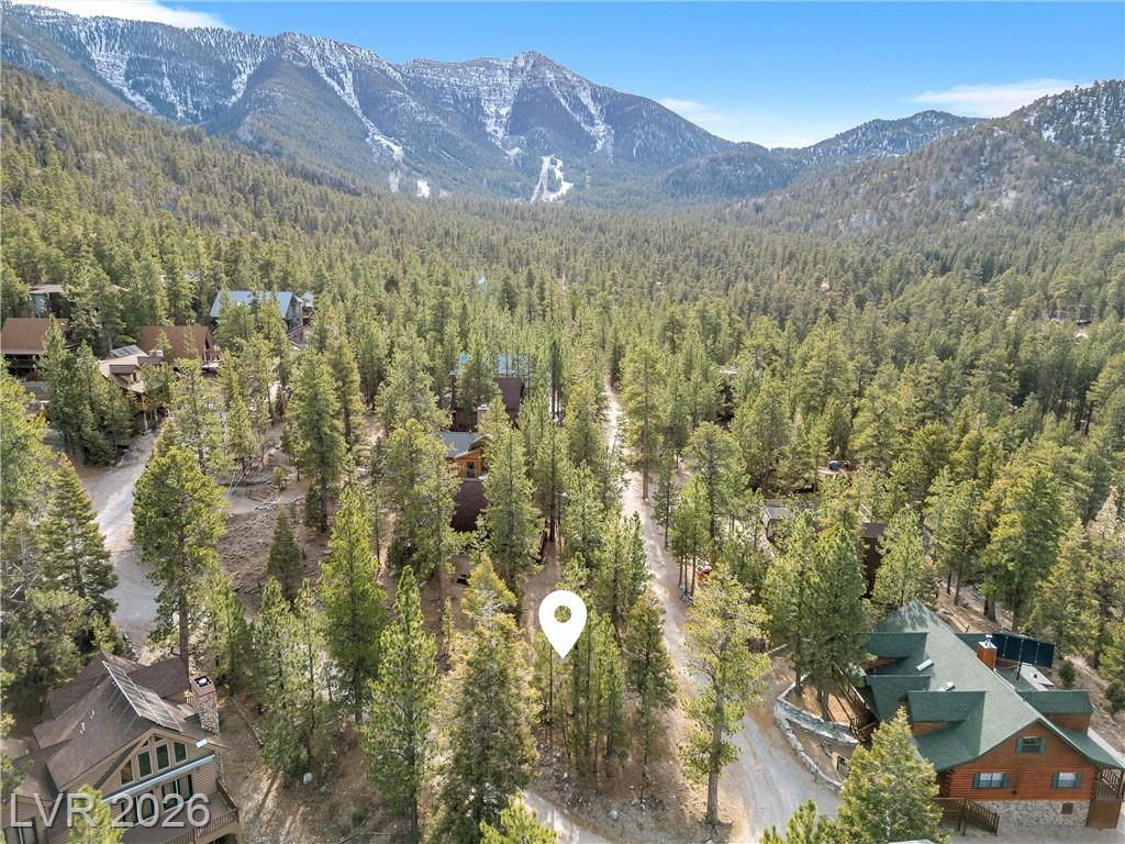 2194 Via Spes Nostra Street, Mount Charleston, NV 89124 — photo 1