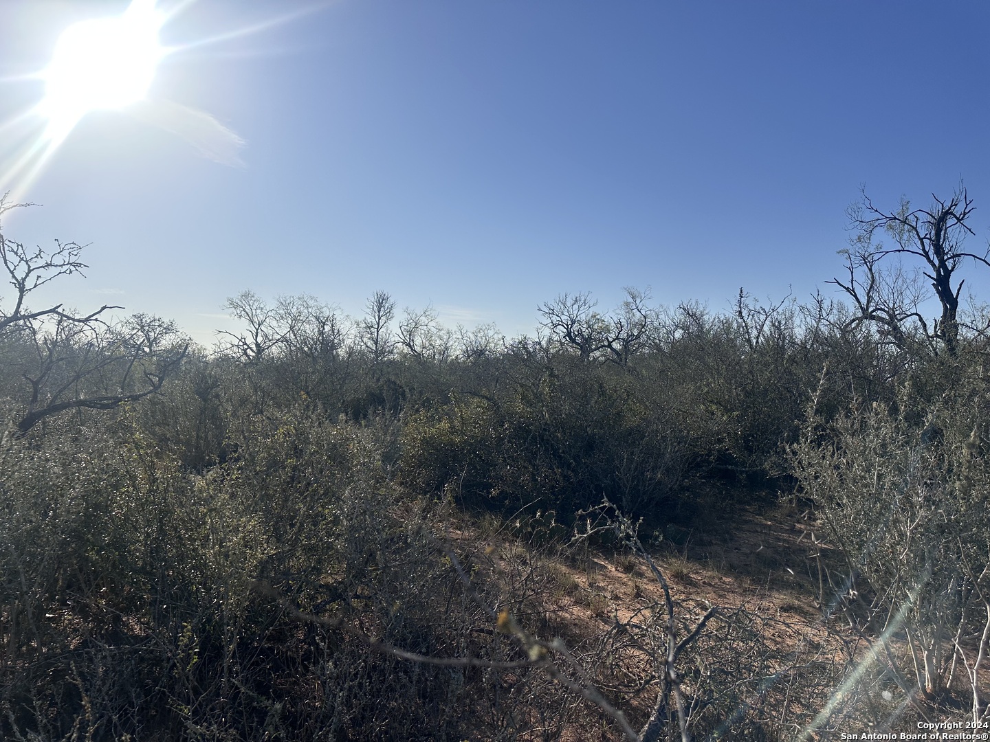 5870 County Road 405, Floresville, TX 78114 — photo 1