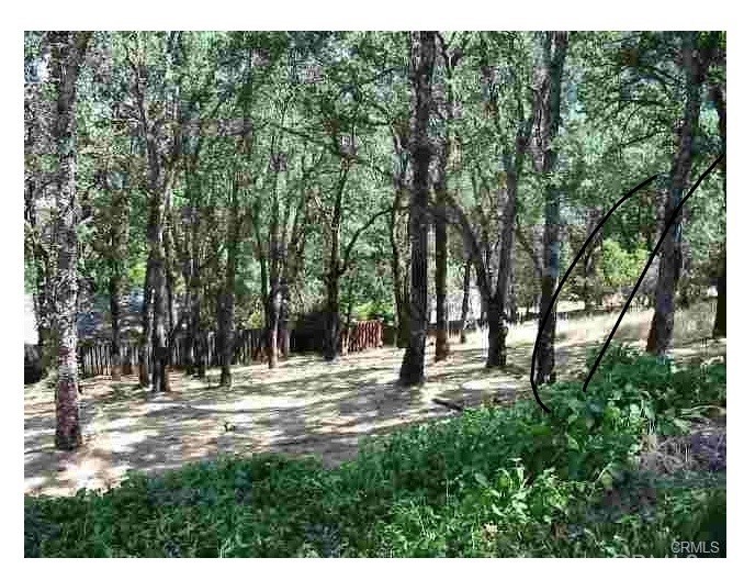 7891 Soda Bay Road, Kelseyville, CA 95451 — photo 1