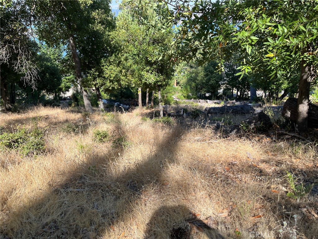 3607 Pine Terrace Drive, Kelseyville, CA 95451 — photo 1