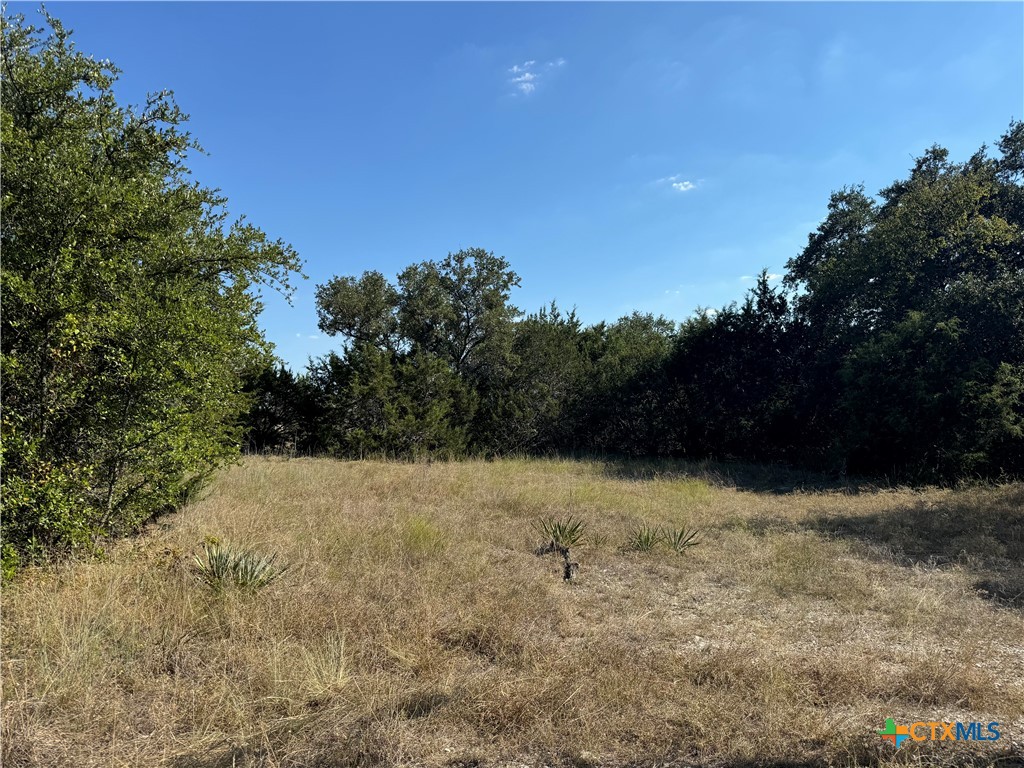 Lot 19 Bowles Ranch Road, Belton, TX 76513 — photo 1