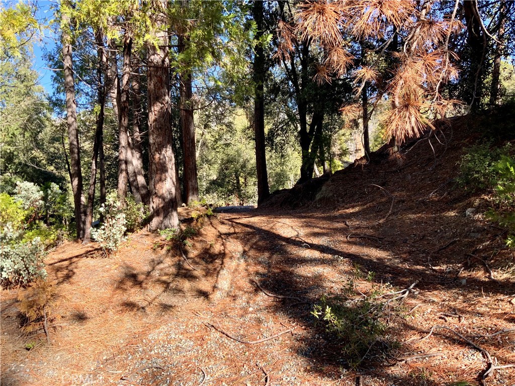 50963 Chu Ranch Road, Oakhurst, CA 93644 — photo 1