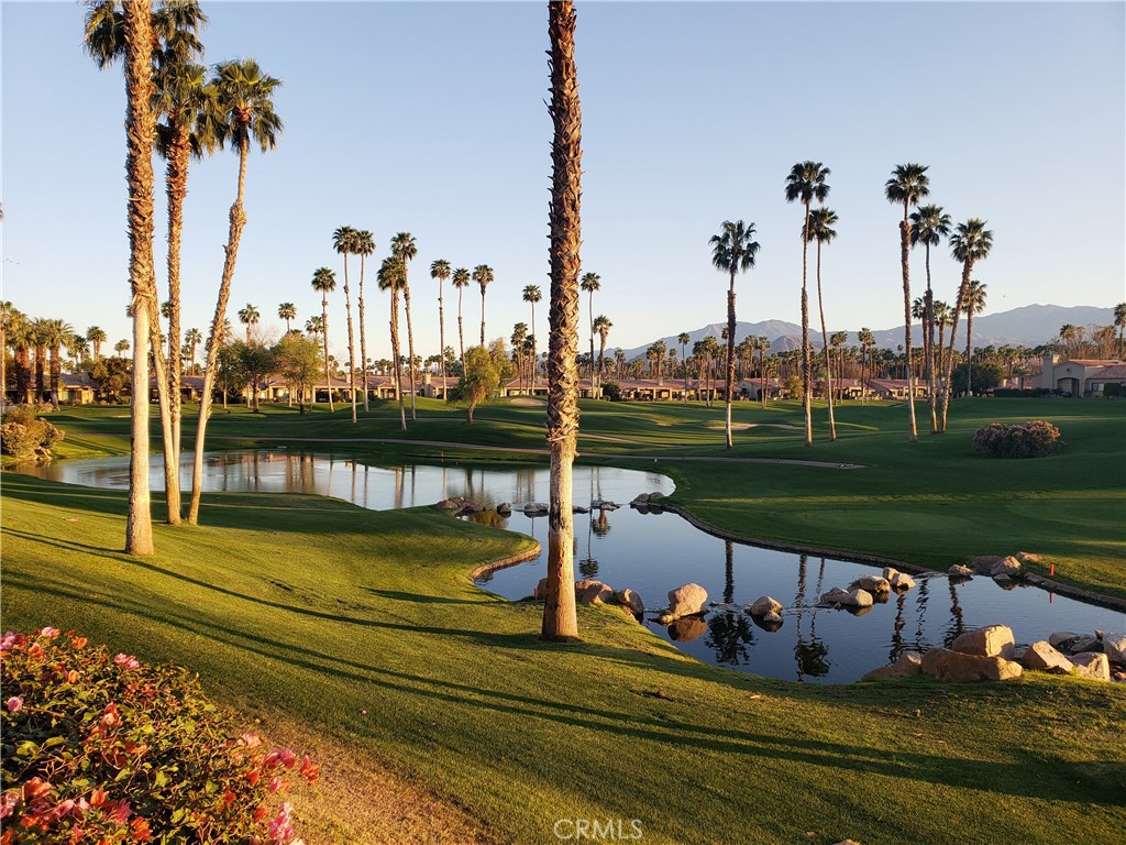 38453 Nasturtium Way, Palm Desert, CA 92211 — photo 1