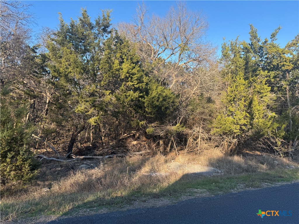 14903 Cart Road, Temple, TX 76502 — photo 1