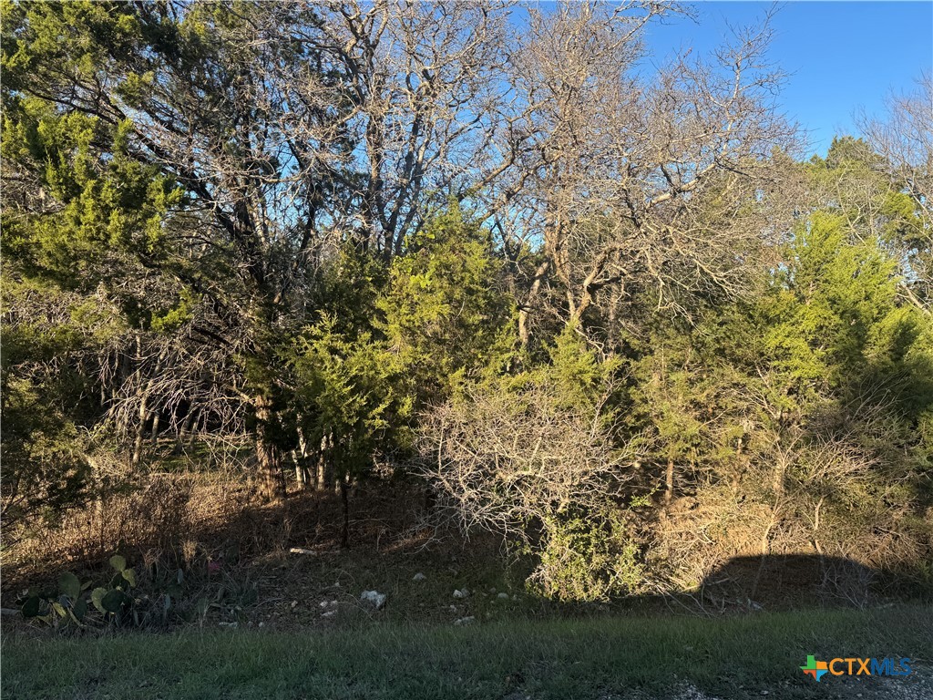 14897 Cart Road, Temple, TX 76502 — photo 1