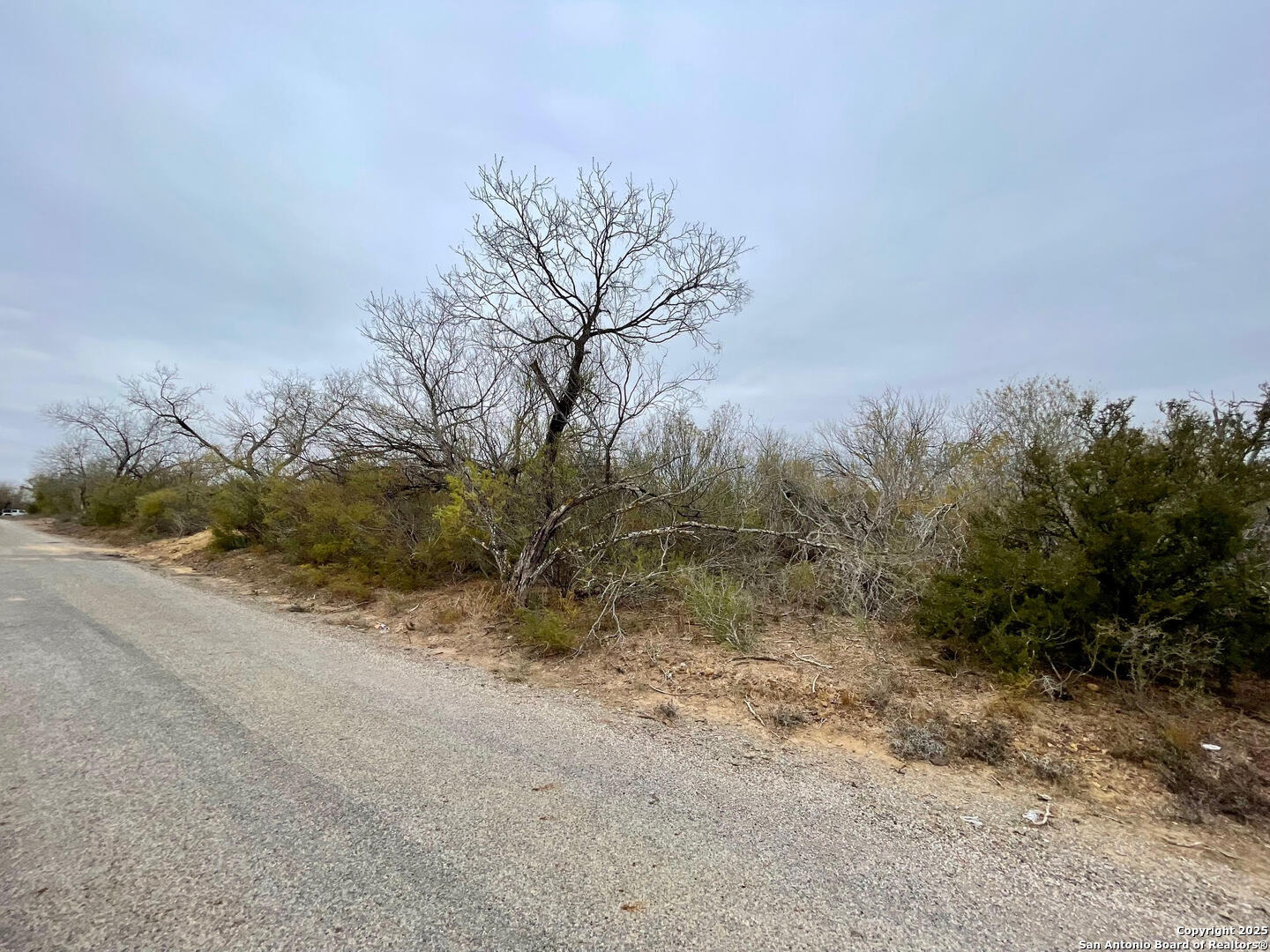 LOT 31 County Road 1628