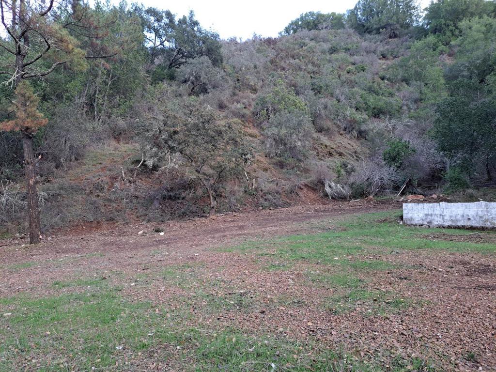 4417 Casa Loma Road, Morgan Hill, CA 95037 — photo 1