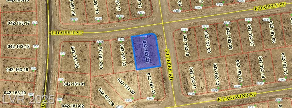 2451 East Dapple Street, Pahrump, NV 89048 — photo 1
