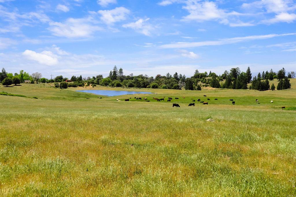 3510 Deer Lake Park Road, Julian, CA 92036 — photo 1