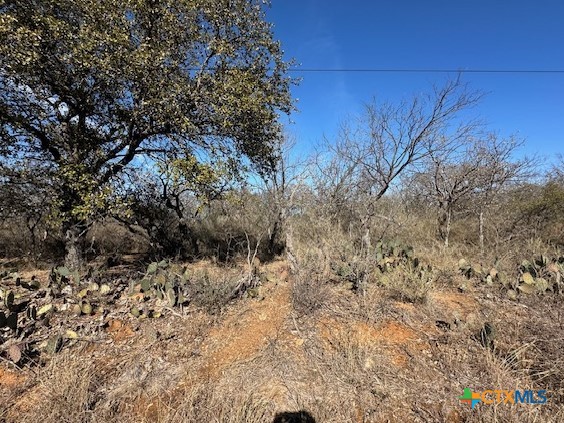 0 TBD Cedar Drive, Granite Shoals, TX 78654 — photo 1