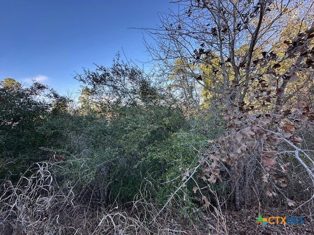 0 TBD Kula Ct, Bastrop, TX 78602 — photo 1