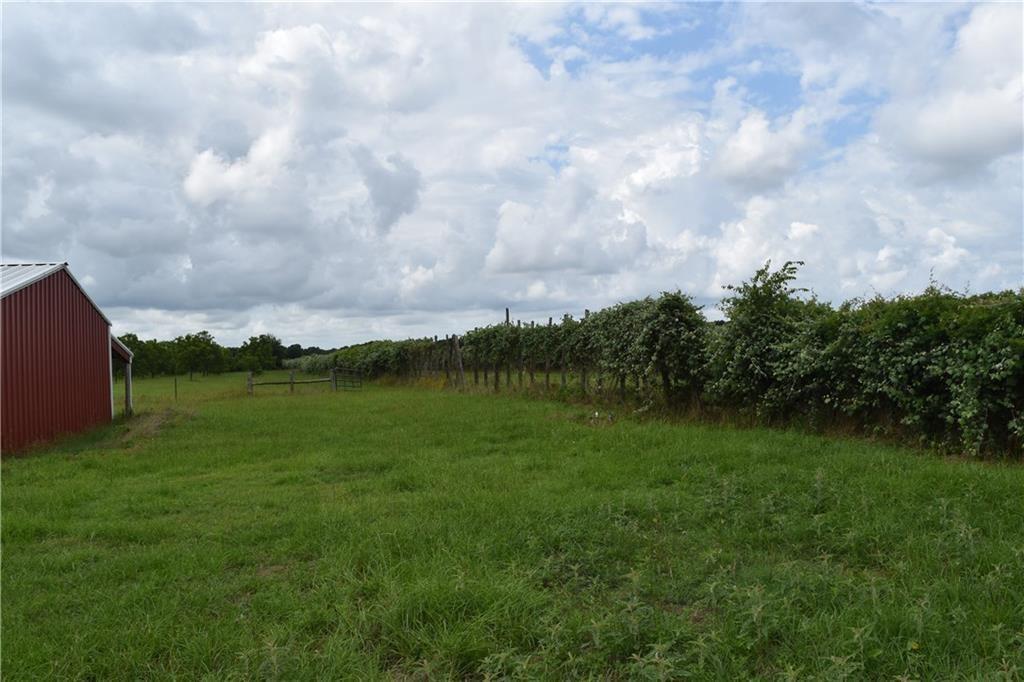 1409 Antioch, Paige, TX 78659 — photo 1