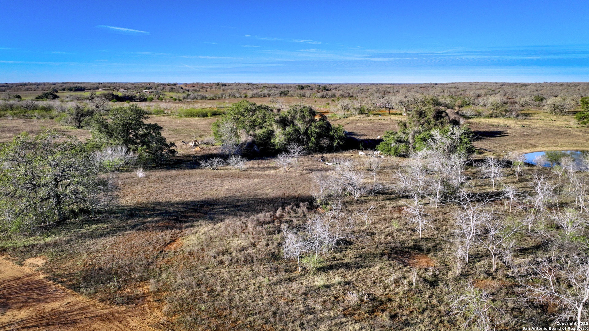 50+/- ACRES FM 1681, Nixon, TX 78140 — photo 1