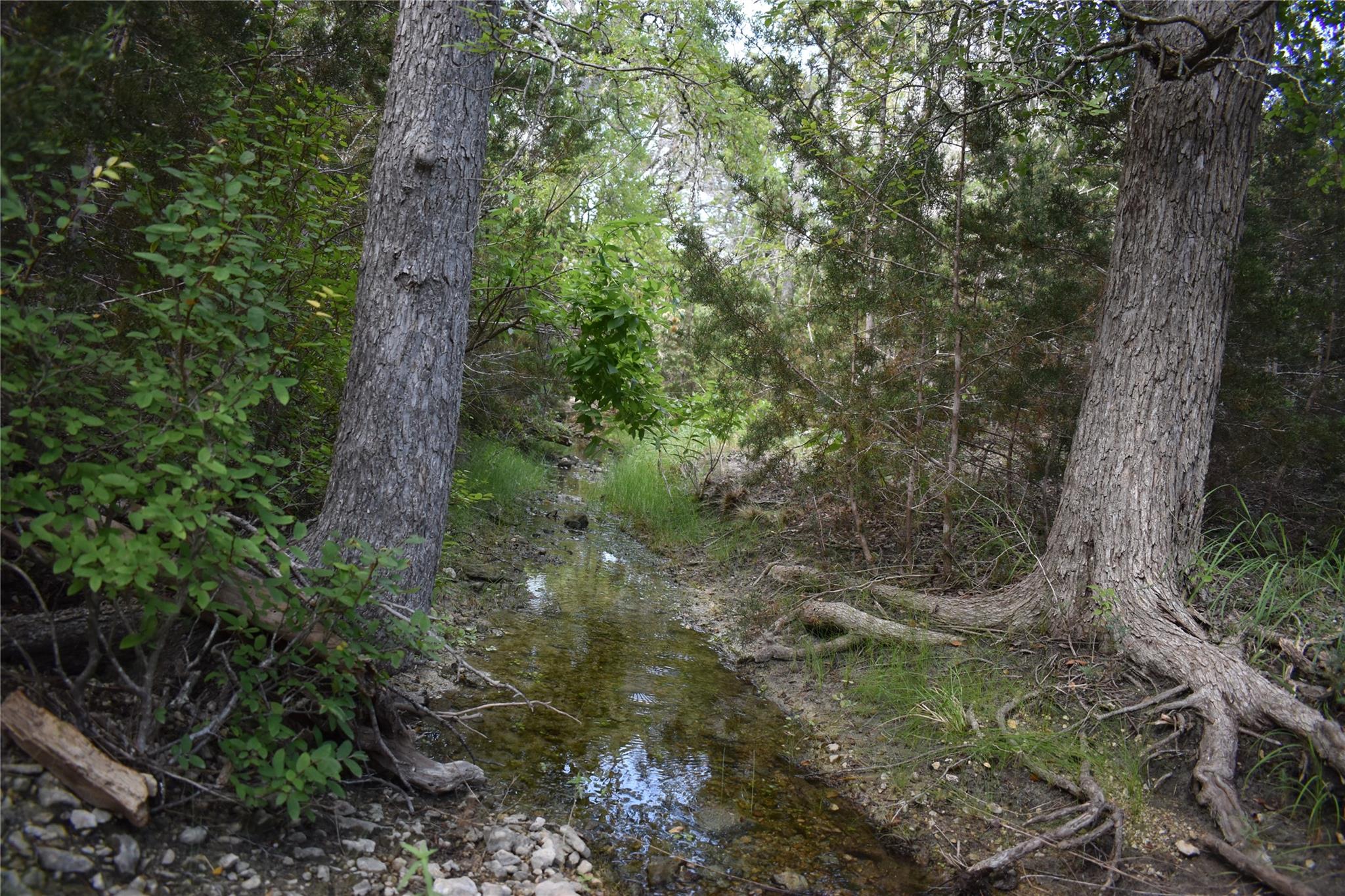 Lot 24 Riparian Elm, Bertram, TX 78605 — photo 1