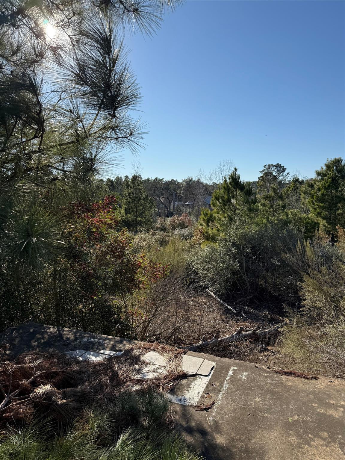 164  Manawianui Dr, Bastrop, TX 78602 — photo 1