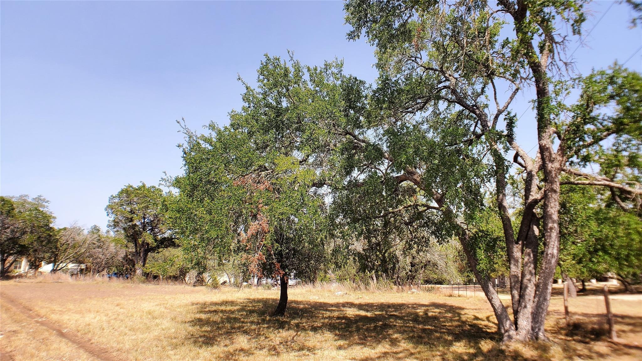 650 Beauchamp, Dripping Springs, TX 78620 — photo 1