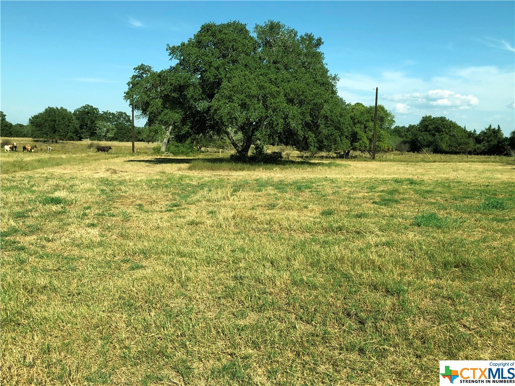 Lot 7 PVT 1672