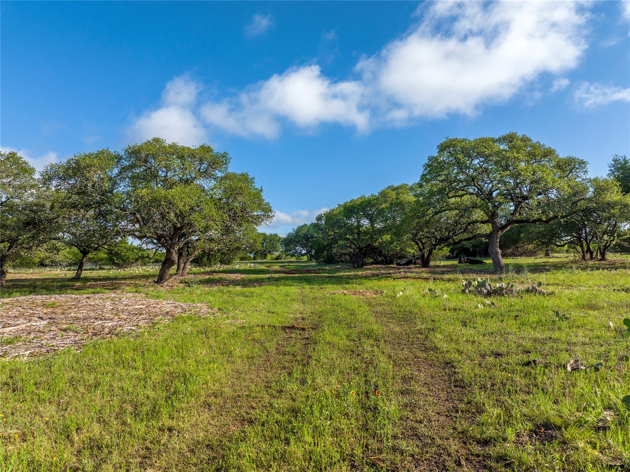 TBD  CR108 None, Burnet, TX 78611 — photo 1