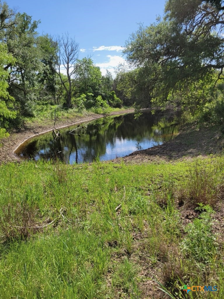 1463 Whispering Woods Trail, New Braunfels, TX 78132 — photo 1
