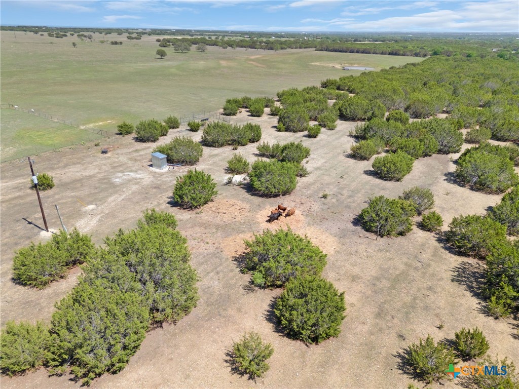 493 County Road 204, Burnet, TX 78611 — photo 1