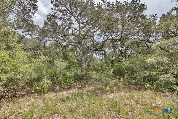 Tract 12 PR 4061, Edna, TX 77957 — photo 1