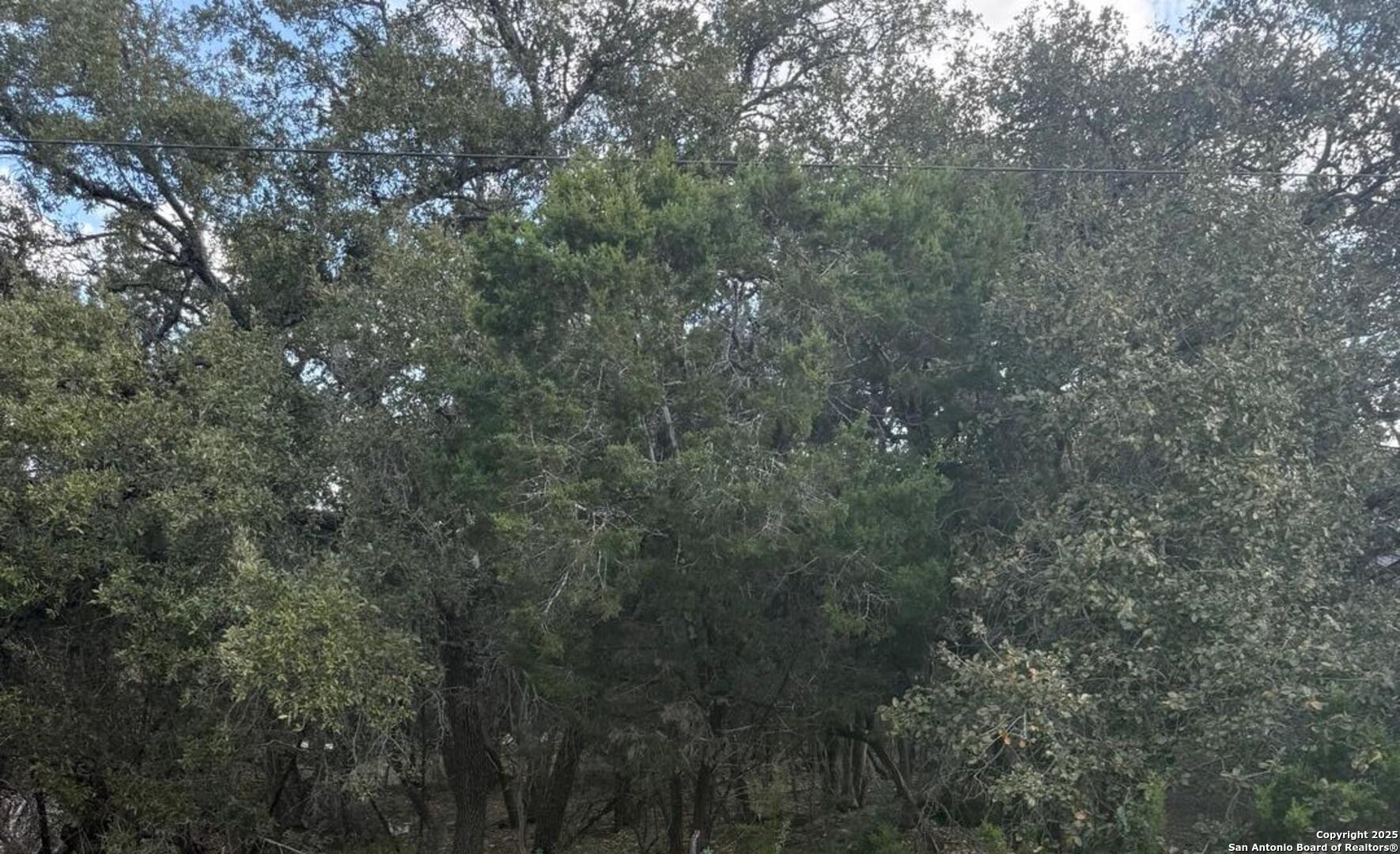 686 HILLCLIMB, Canyon Lake, TX 78133 — photo 1
