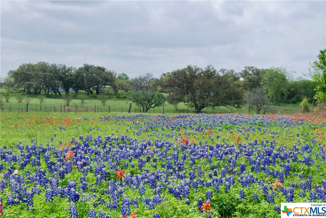 TBD US Hwy 90a