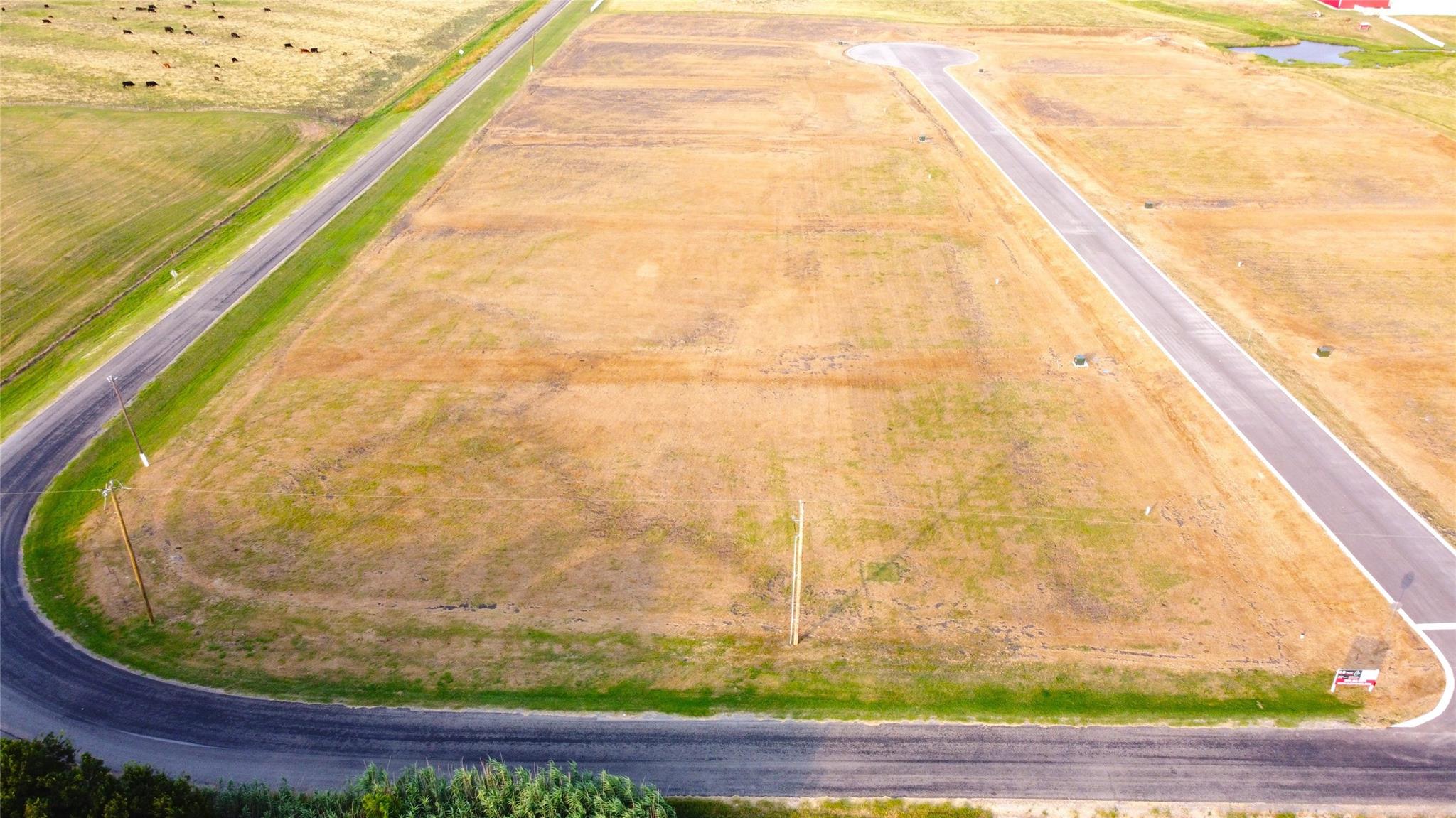212 Tigerlily, Thrall, TX 76578 — photo 1