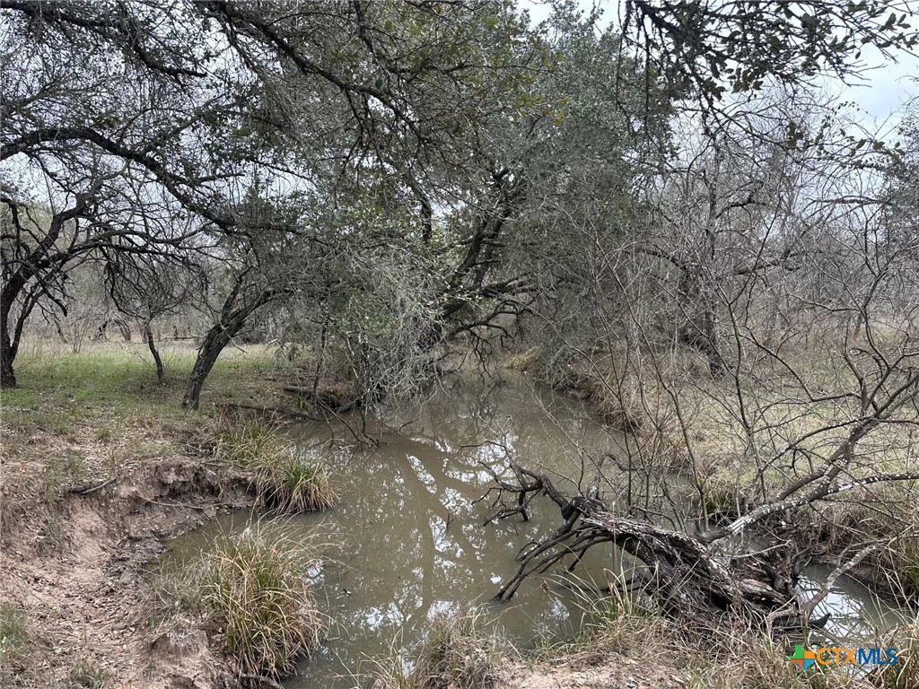 6 Dentler Tract 6 Road, Meyersville, TX 77974 — photo 1