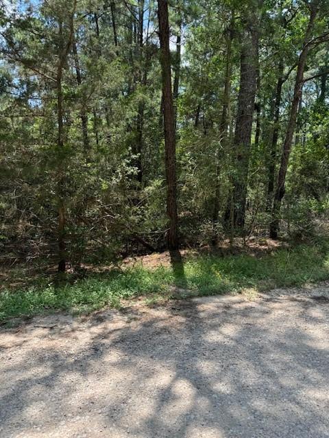 Lot 250 Hekili Dr, Bastrop, TX 78602 — photo 1