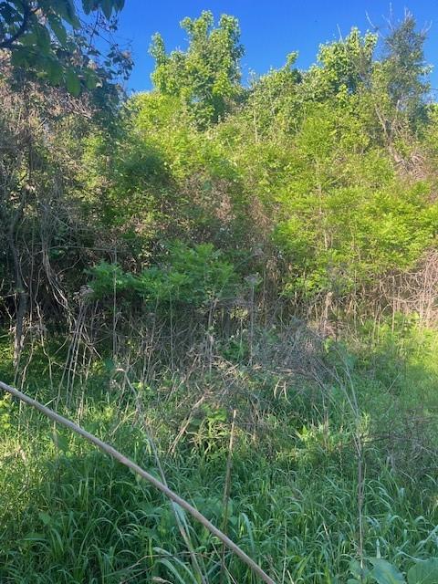 167  Kahana Ln, Bastrop, TX 78602 — photo 1