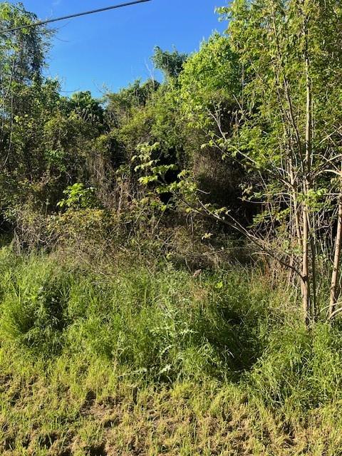 171  Kahana Ln, Bastrop, TX 78602 — photo 1