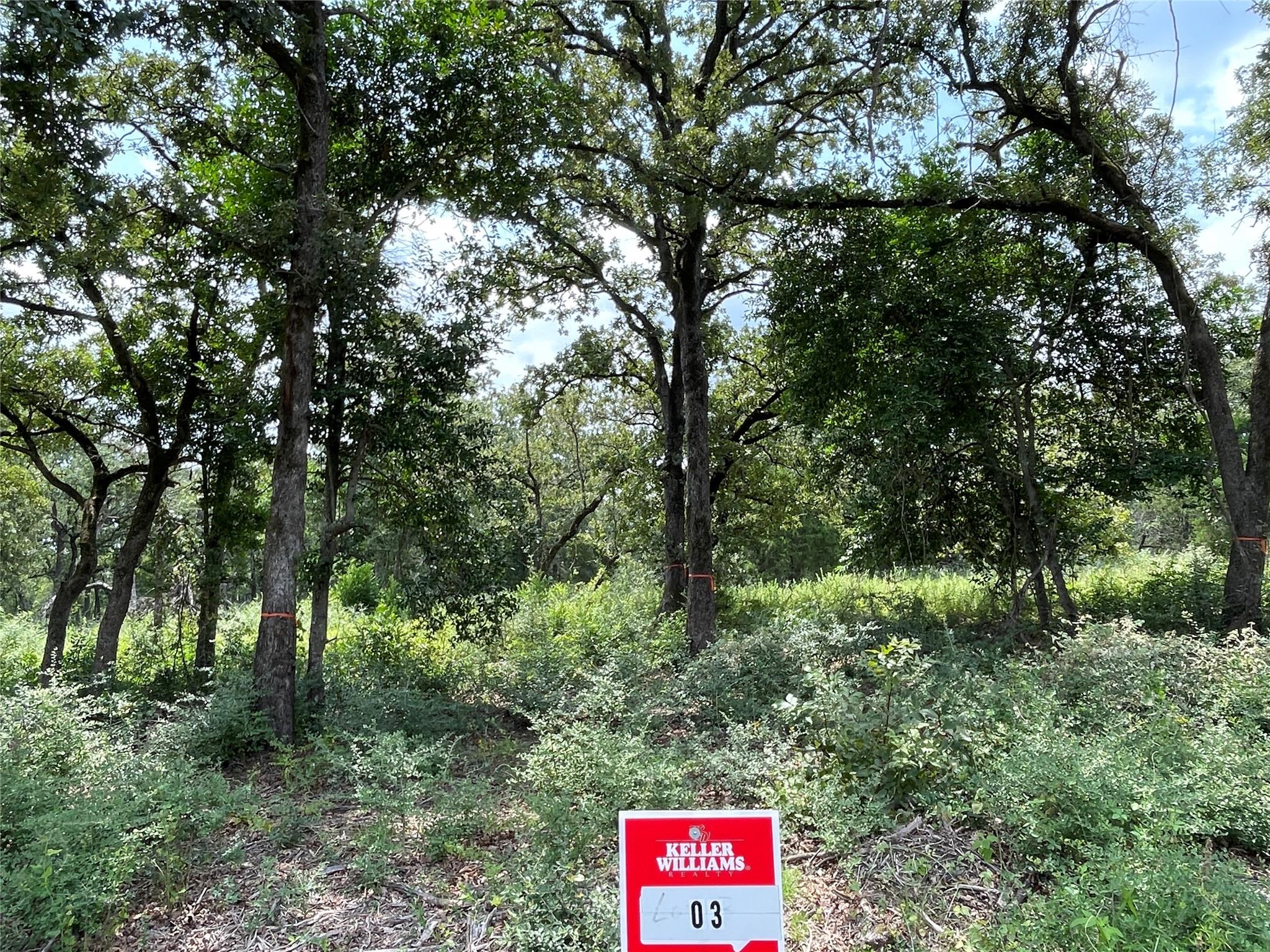 1300  Cypress Trail Loop, Rockdale, TX 76567 — photo 1