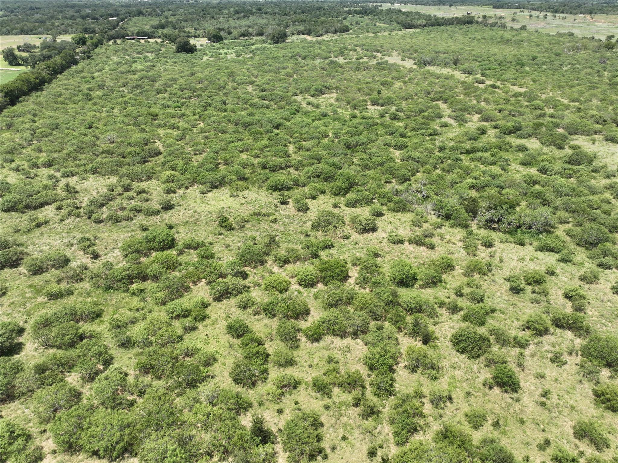 TBD Lot 10 Young, Lockhart, TX 78662 — photo 1