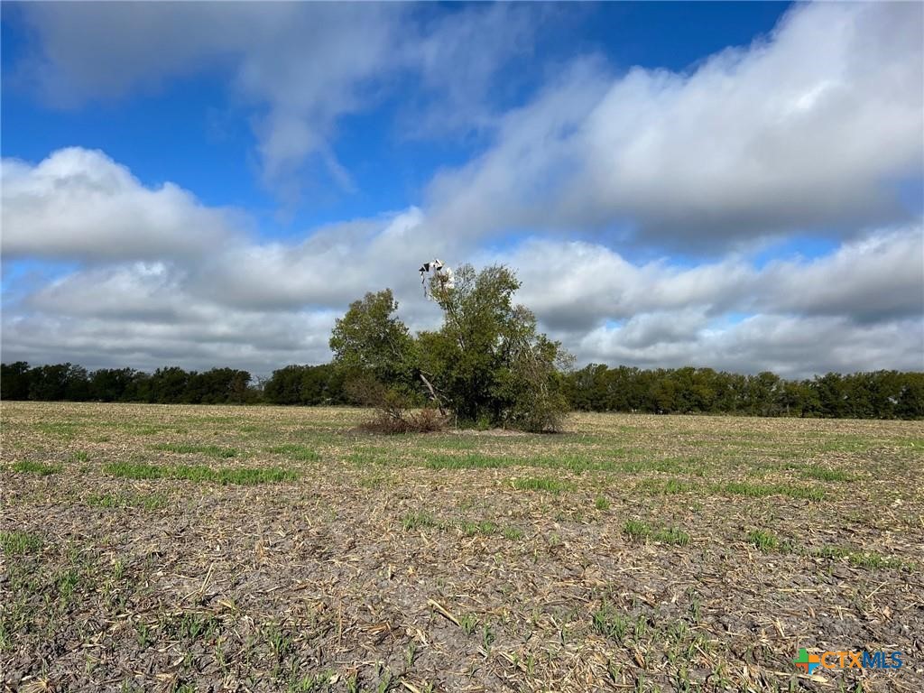 TBD CR 117, Rogers, TX 76569 — photo 1