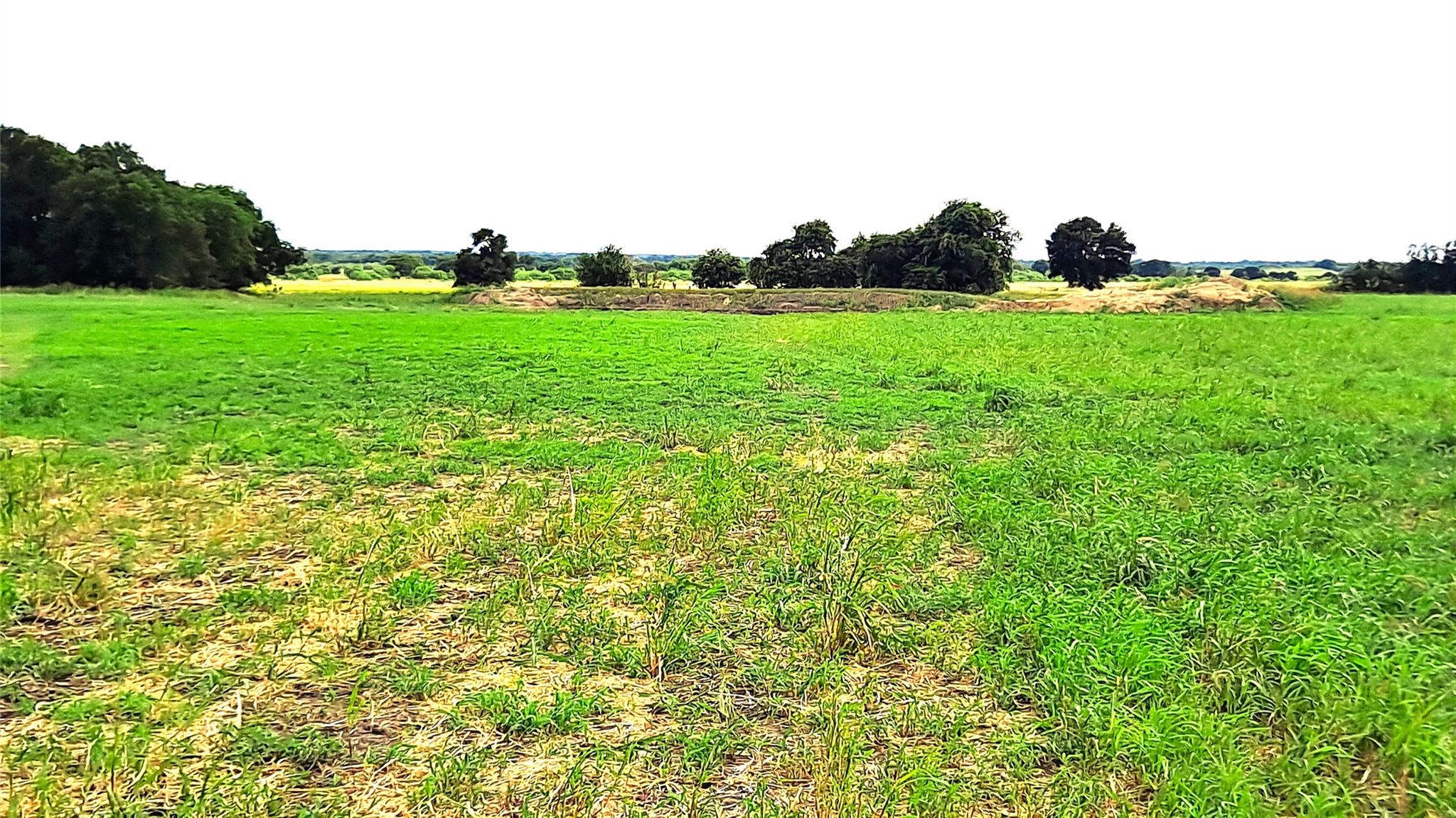Tract 3 County Road 432, Rockdale, TX 76567 — photo 1