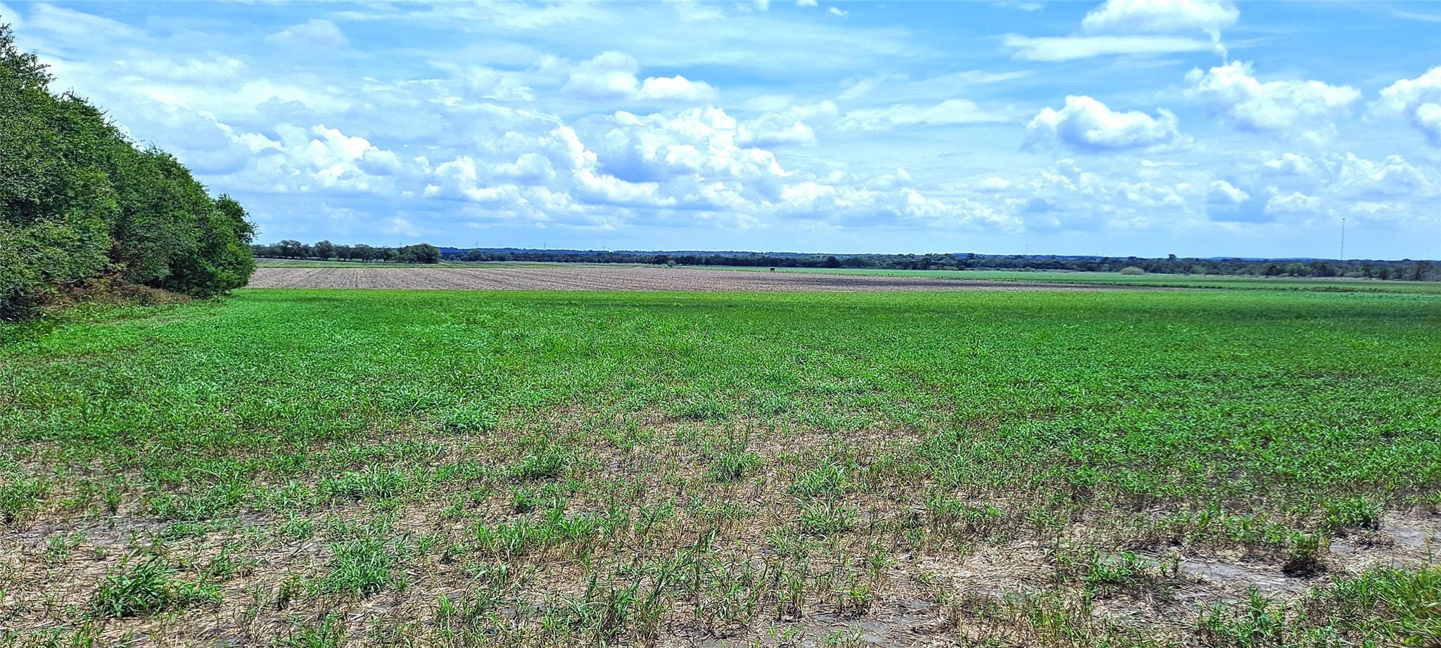 3135 CR 432, Thorndale, TX 76577 — photo 1
