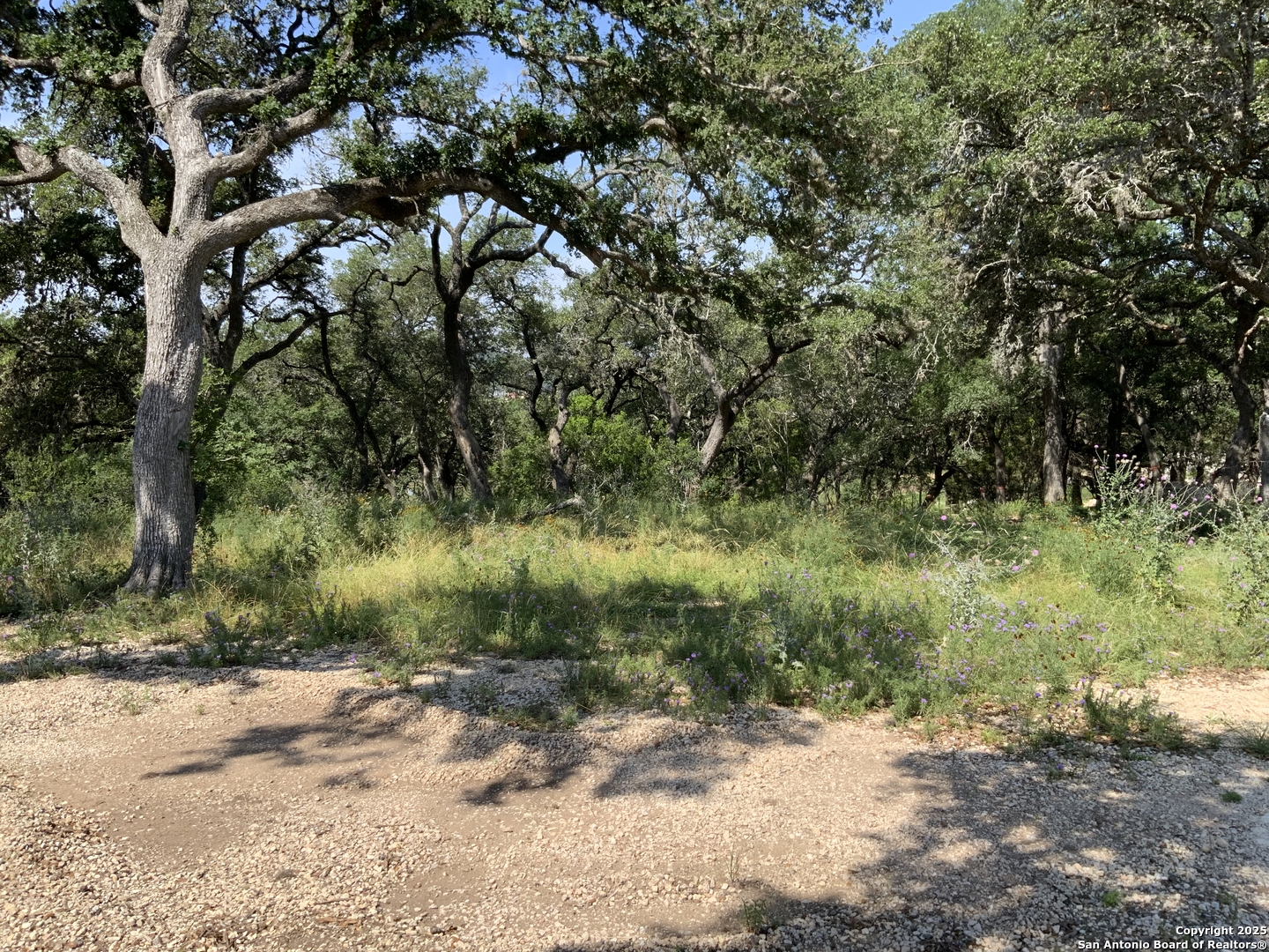 24643 Cliff Line, San Antonio, TX 78257 — photo 1
