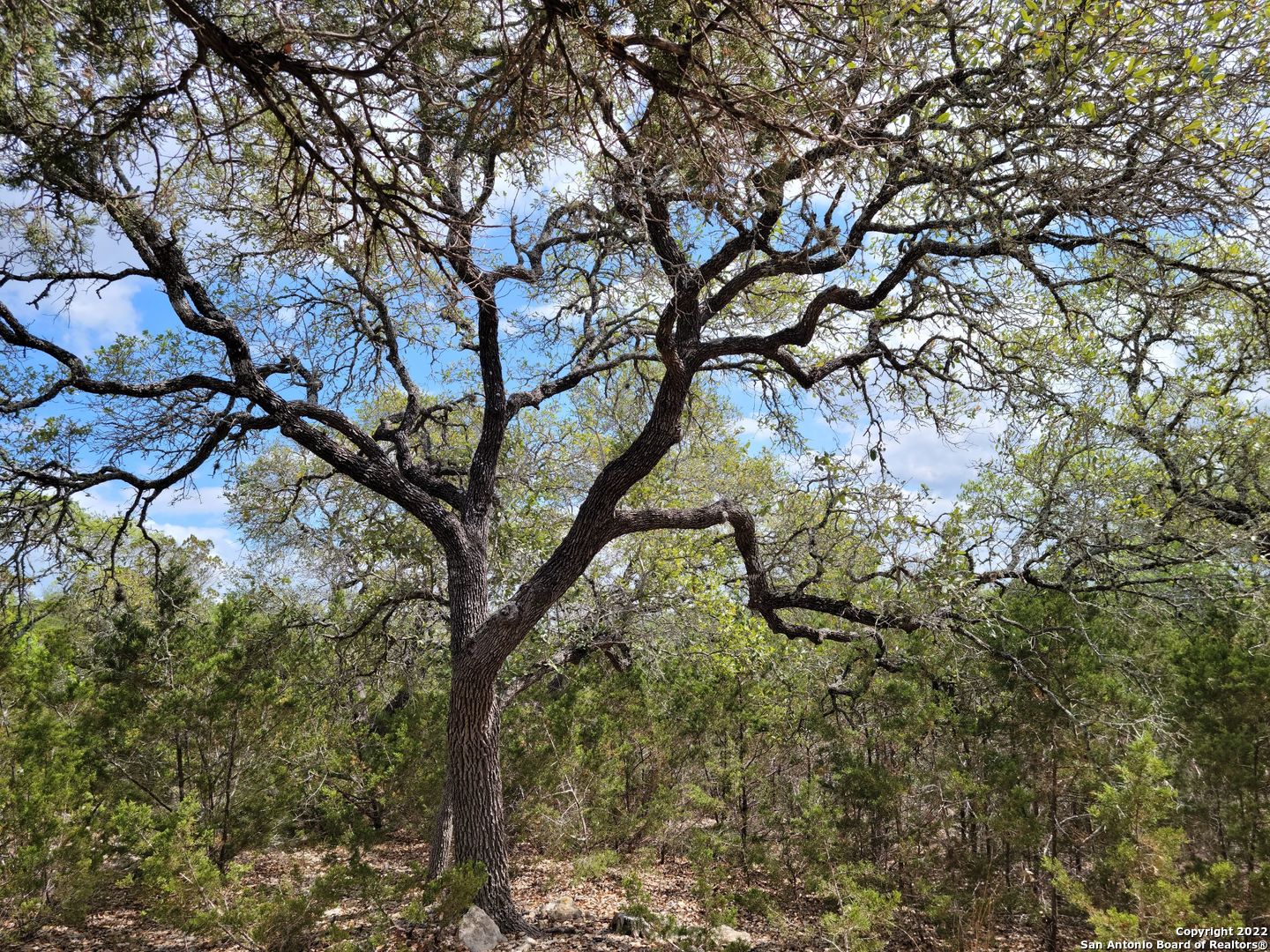 2515 Smoke Rise, Bulverde, TX 78163 — photo 1
