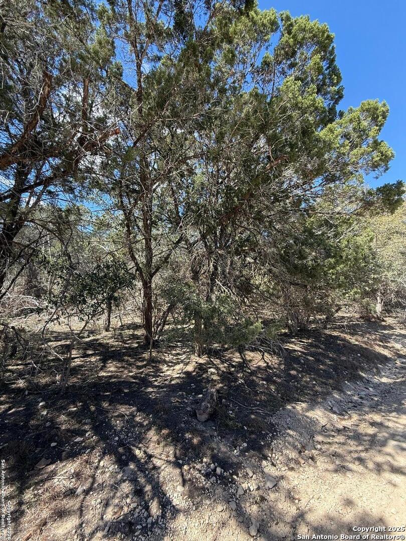 TBD Paladin, Bandera, TX 78003 — photo 1