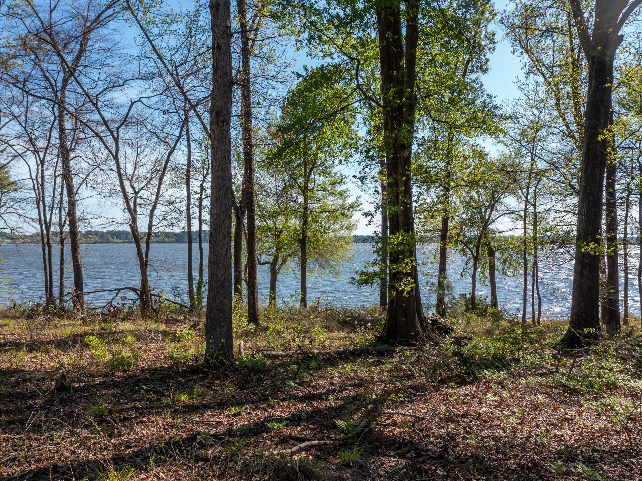 3108  Shadow Pine Dr, LaRue, TX 75770 — photo 1